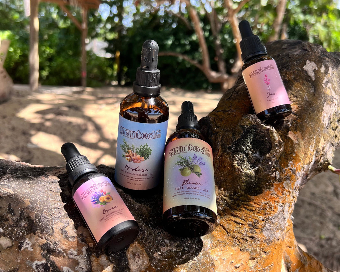 An image of our oil collection on a tree at a beach