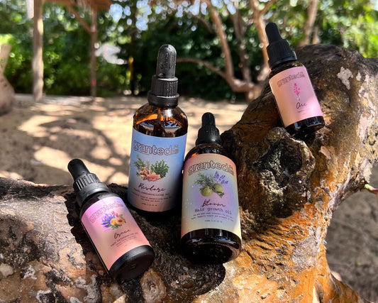 An image of our oil collection on a tree at a beach