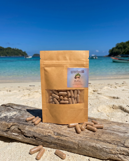 A stand-up kraft paper pouch with a clear window displaying tan capsules, set on a beach with turquoise water and a wooden log in the background. The pouch has a square label with the brand name 'purinebloom' and the text 'Mucosal Healing'.