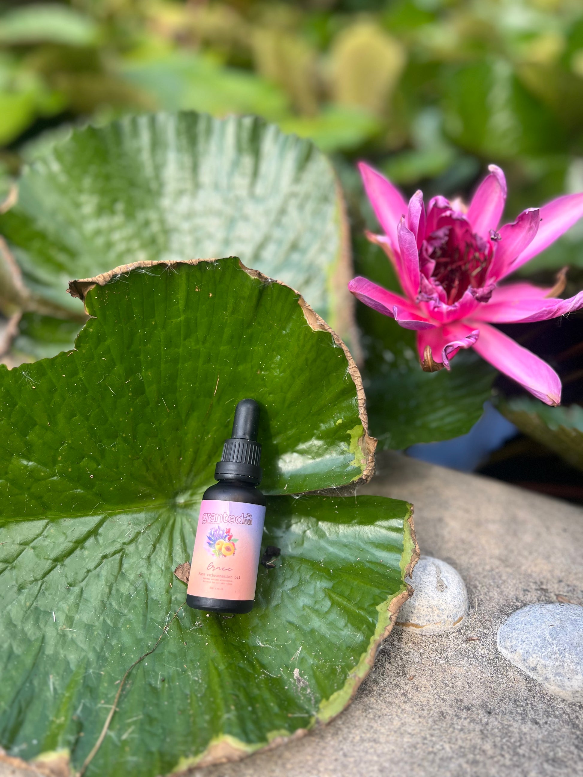 A small dropper bottle with a pink label and black cap rests on a large green lily pad next to a pink water lily flower in an outdoor pond setting.