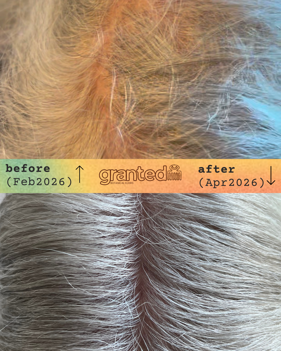 Bloom Hair Growth Oil